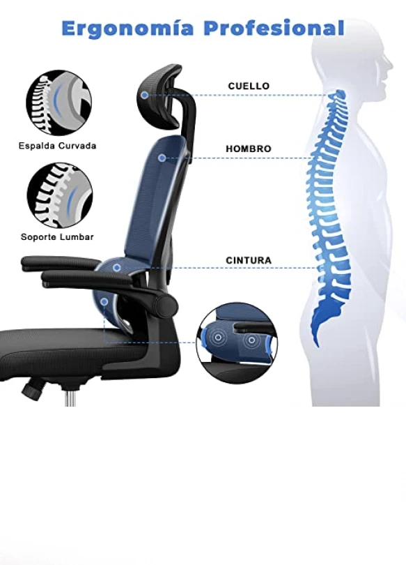 3_Silla de Oficina Ergonómica con Soporte Lumbar y Reposacabezas